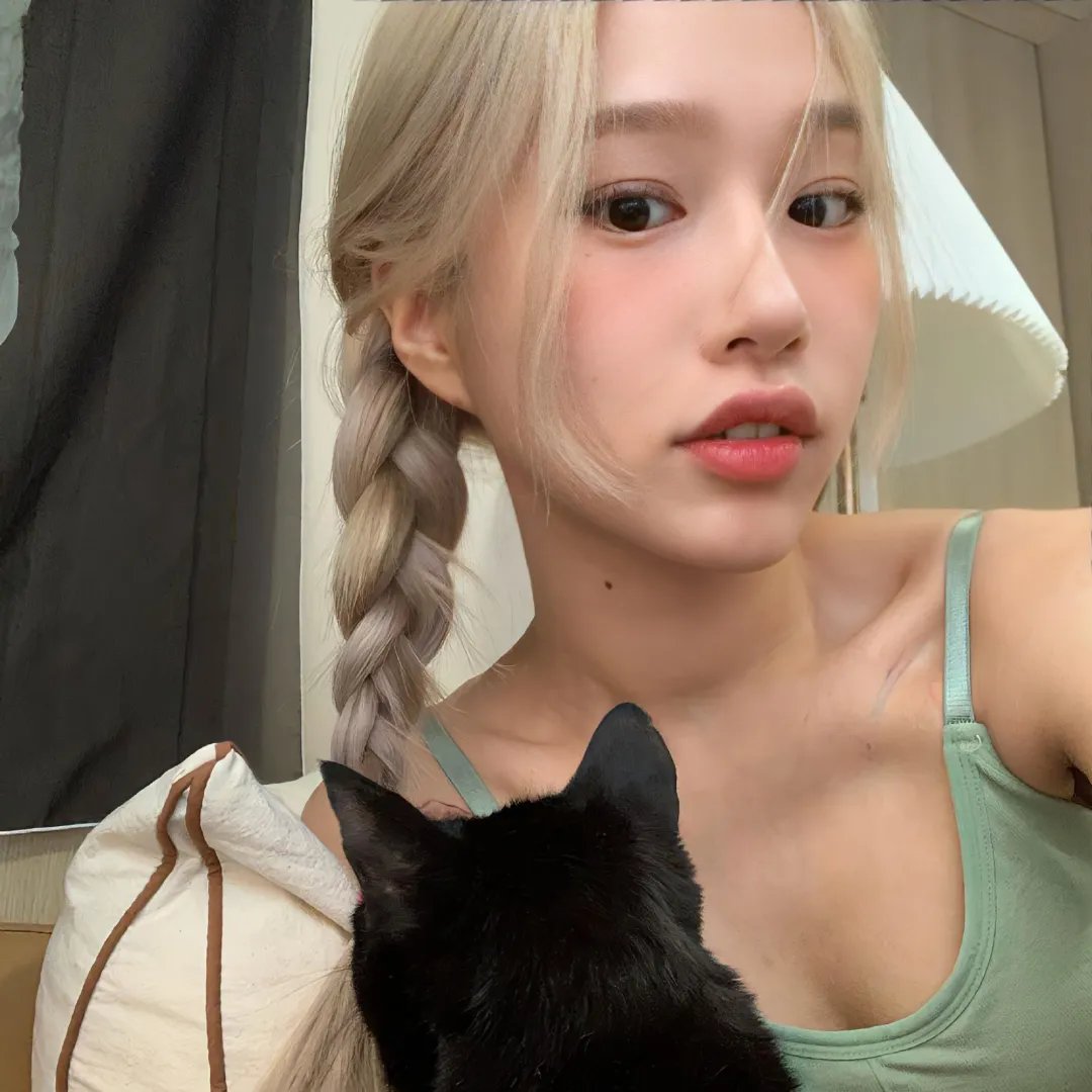 秋田犬蓬夫